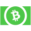 Bitcoin Cash icon