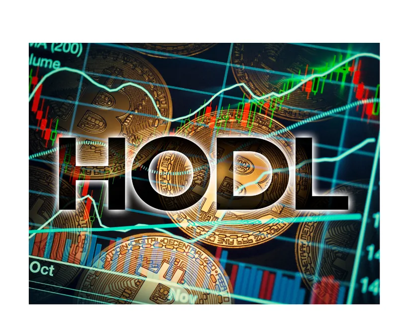 Long-Term Bitcoin Holders Now Control 74% of Supply: What It Means for Price and Future Outlook